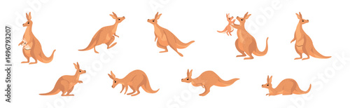 Funny Brown Kangaroo Australian Animal Character in Different Pose Vector Set
