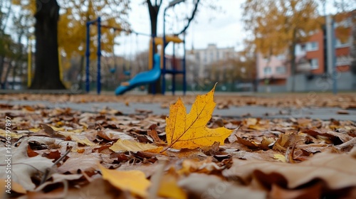Autumnal playground scene with fallen leaves. A vibrant yellow maple leaf sits amidst a blanket of autumnal brown and golden leaves, with a playground in the background