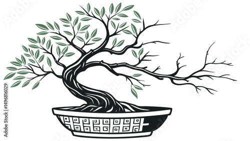 Elegant Bonsai Tree Art