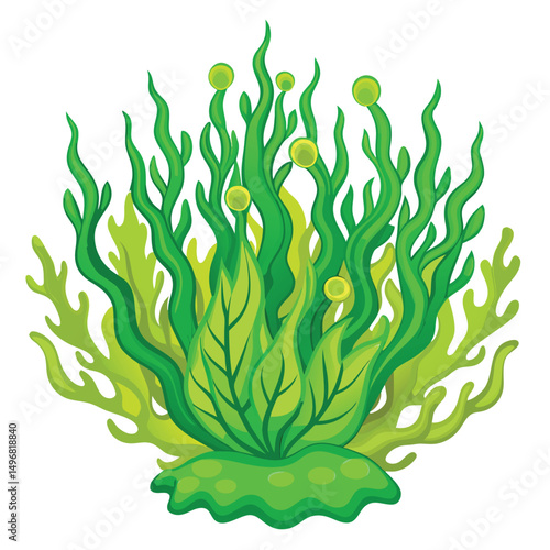 Vibrant illustration of a lush green seaweed bush with various aquatic algae plants.