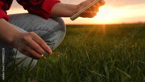 Female agronomist hands use tablet smart digital technology examining green wheat condition closeup. Woman agricultural scientist touch grass inspecting fertility innovation data analyzing at sunset