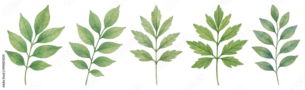 Fototapeta premium PNG Watercolor green leaf pattern, element set on transparent background