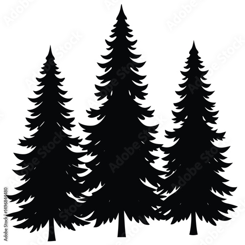 Silhouetted Evergreen Trees Stand Tall in a Natural Forest Landscape