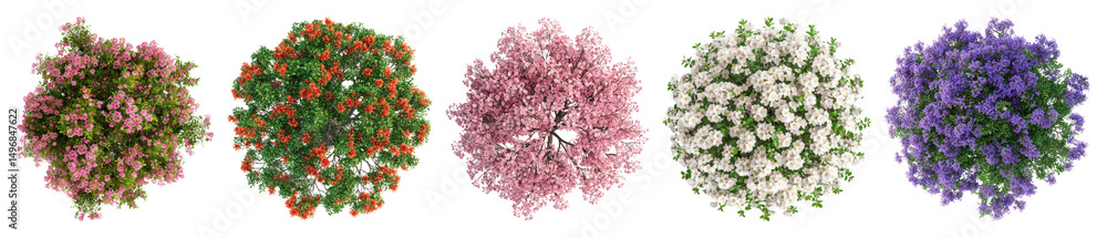 Fototapeta premium PNG Colorful blooming floral arrangements, element set on transparent background