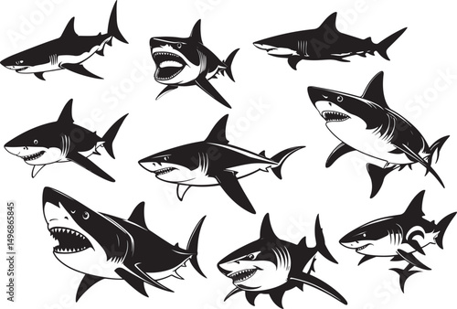 Collection of black and white shark illustrations great white sharks