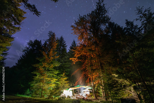 night in the forest