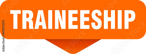 traineeship sticker. traineeship sign on transparent background