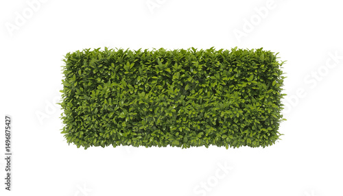 Lush Green Hedge Rectangular Shape on Transparent Background
