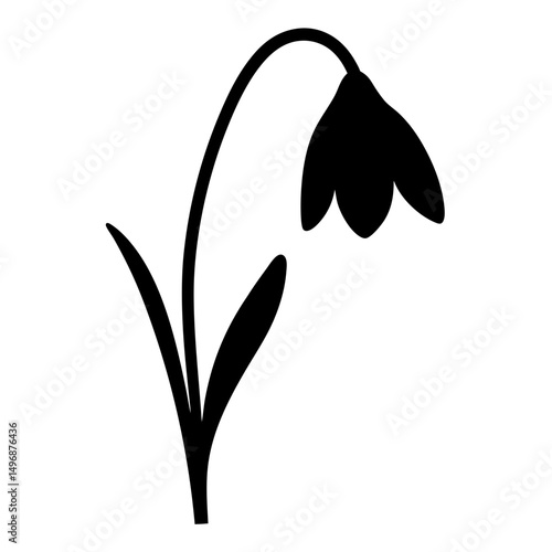 Silhouette of a snowdrop flower with leaves isolated on white background