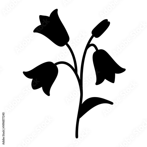 Silhouette of Bellflower plant with leaves and buds on a white background