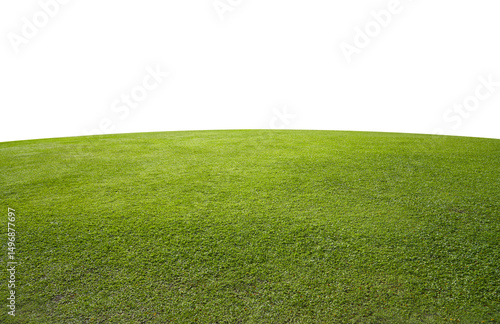 Wallpaper Mural Green grass field background. Torontodigital.ca