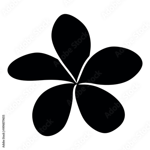 Elegant black and white plumeria flower with five petals on white background