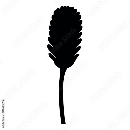 Silhouette of a flowering plant with a full flower head and stem