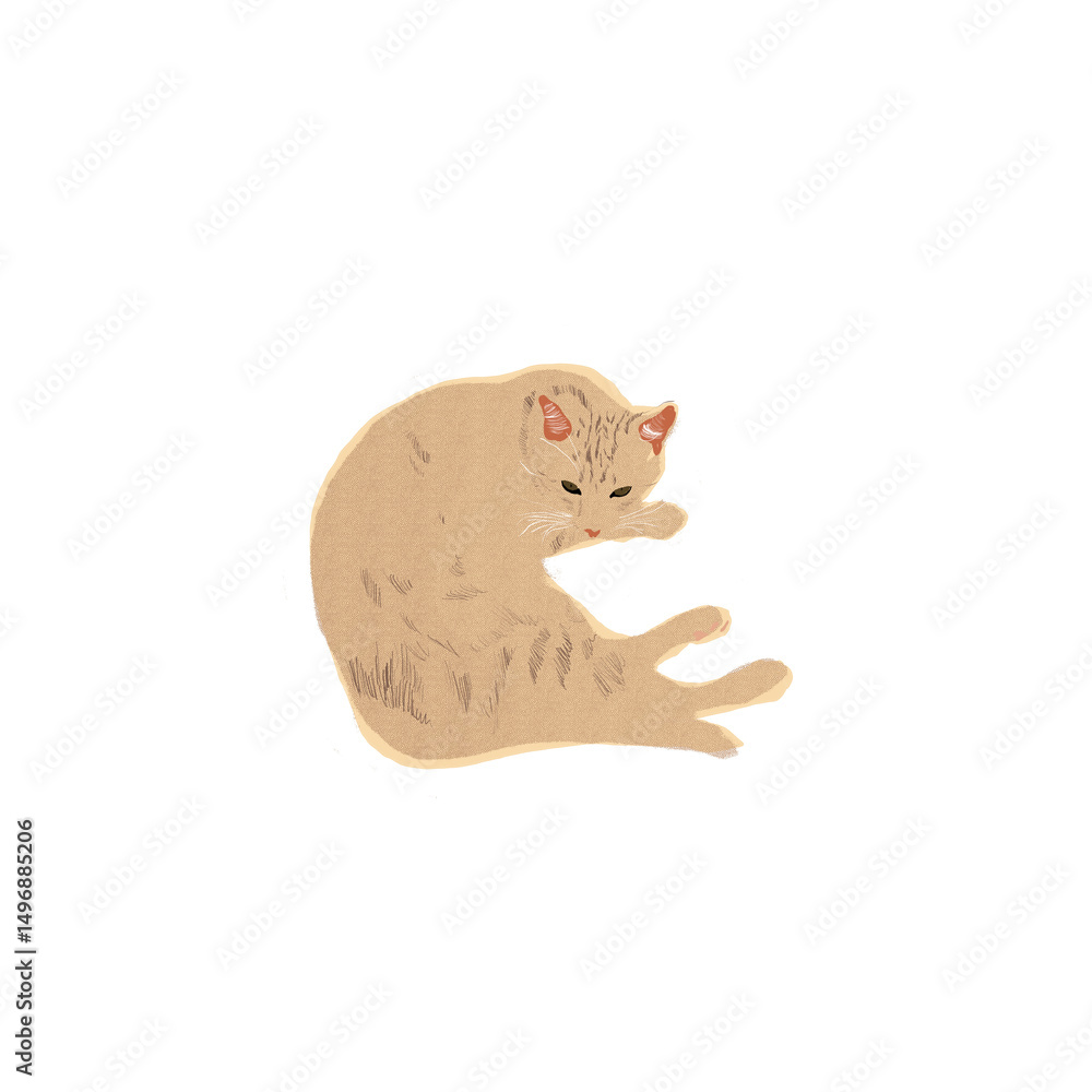 Obraz premium Ginger Cat