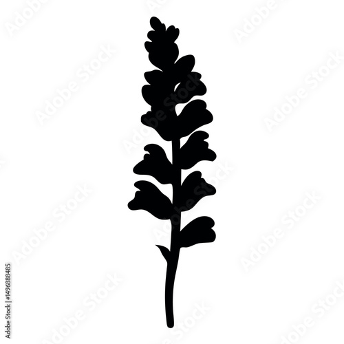 Black silhouette of a snapdragon plant against a white background isolated