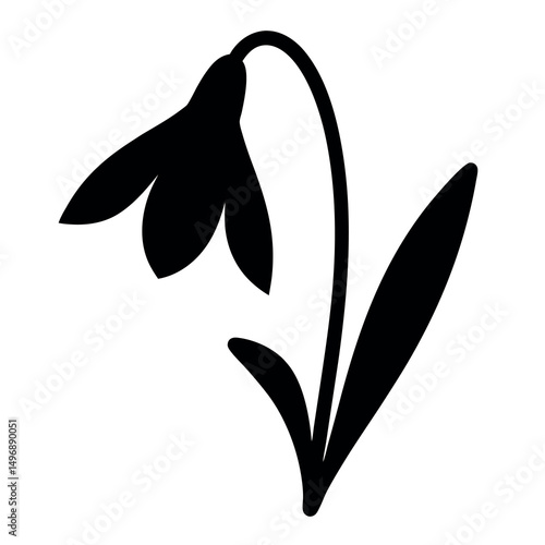 Silhouette of a delicate snowdrop flower blooming in early springtime simplicity