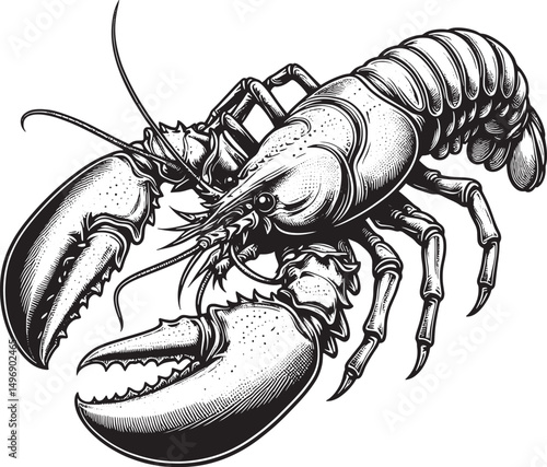 lobster line art design illustration premium quality