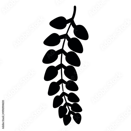 A simple and elegant vector graphic of a hanging seed pod branch