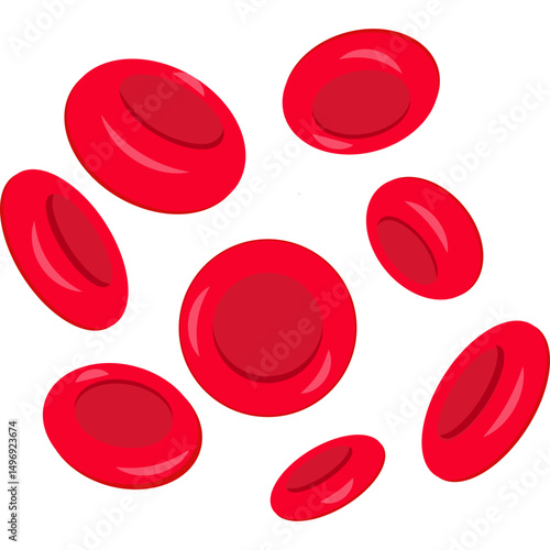 Red Blood Cells