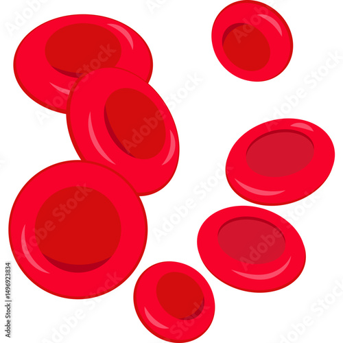 Red Blood Cells