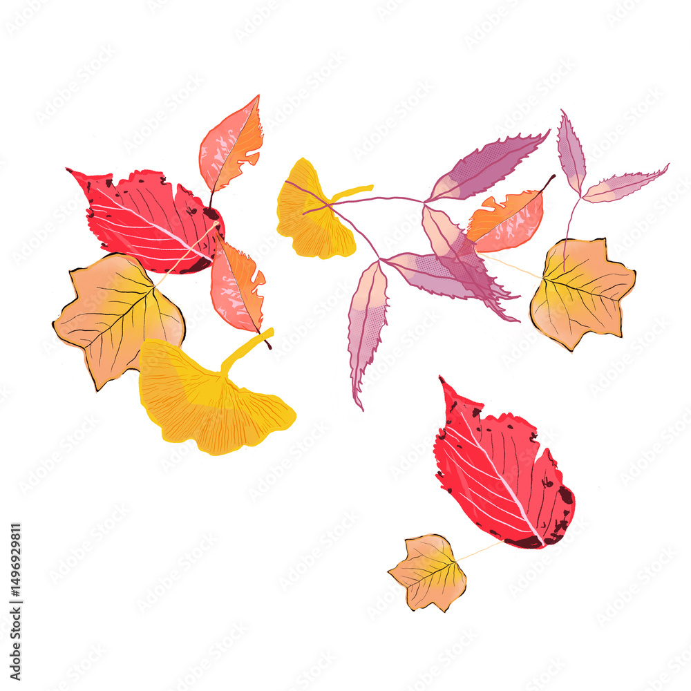 Obraz premium Autumn Leaves