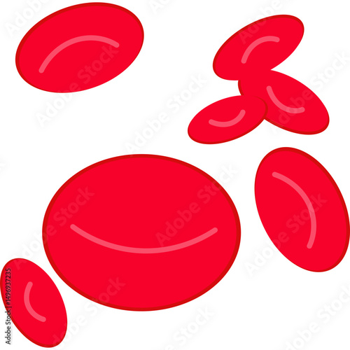 Red Blood Cells