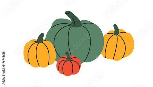 Pumpkin harvest. October vegetables, fall seasonal crops, natural agriculture food. Traditional autumn decoration for Halloween holiday. Flat vector illustration isolated on white background