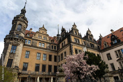 Antique architecture of old buildings and blooming magnolia. Dresden, Germany