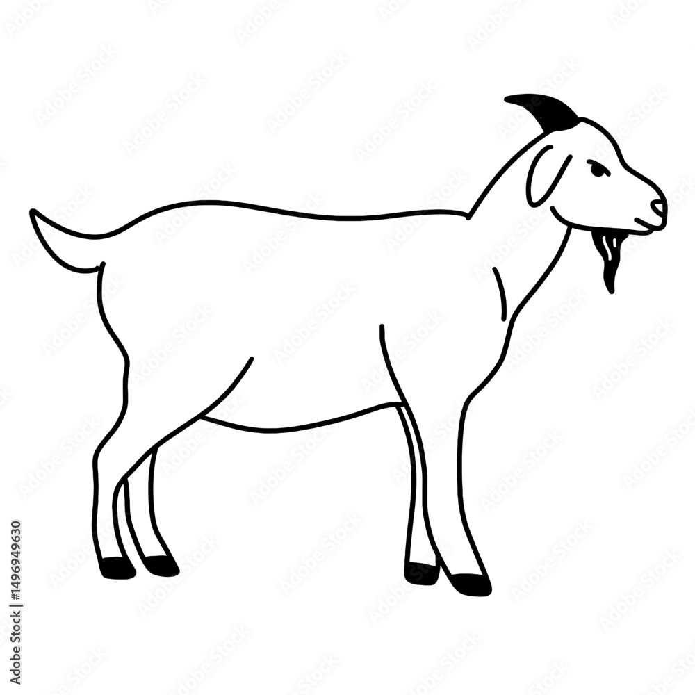 Fototapeta premium vector illustration of a sheep