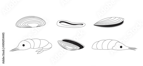 Assorted shellfish and shrimps 2D line objects set. Clams, mussels, prawns, calamari ring. Seafood ingredients isolated cliparts vector ink outline items. Monochrome spot illustrations collection