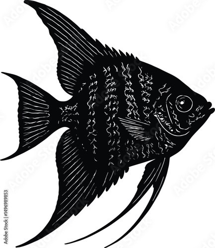 Angelfish Vector Silhouette Illustration

