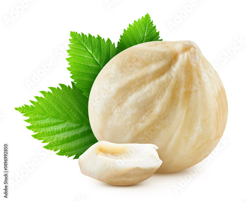 Hazelnut with leaves. Hazelnut kernel and leaves isolated on white background. Hazelnut macro with clipping path
