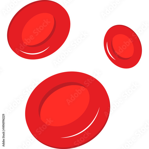Red Blood Cells
