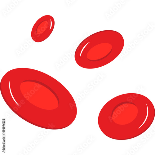 Red Blood Cells
