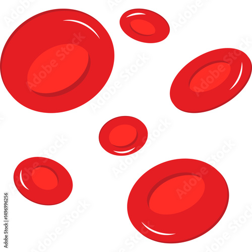 Red Blood Cells
