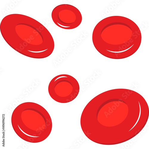 Red Blood Cells
