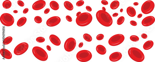 Red Blood Cells
