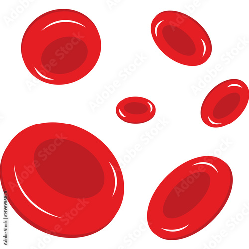 Red Blood Cells
