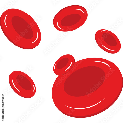 Red Blood Cells
