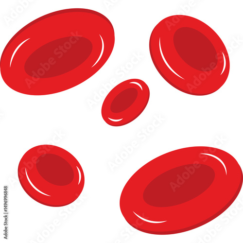 Red Blood Cells
