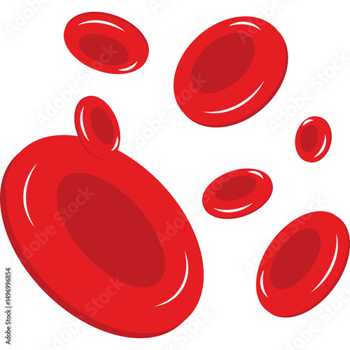 Red Blood Cells
