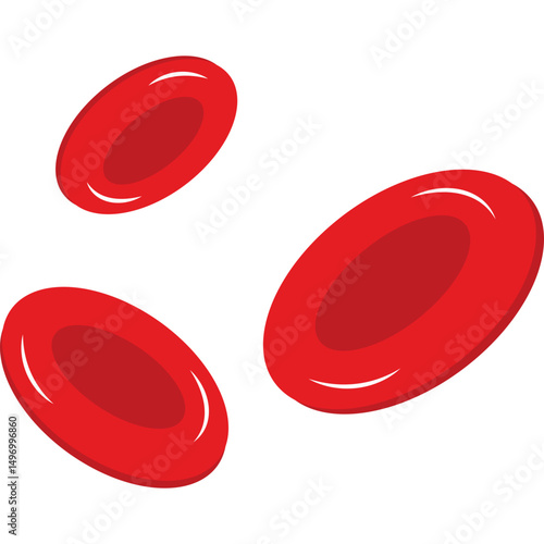 Red Blood Cells

