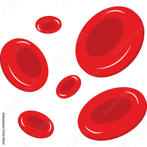 Red Blood Cells
