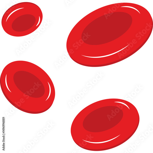 Red Blood Cells
