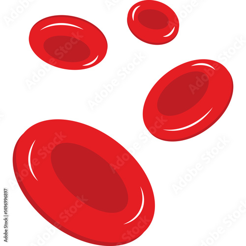 Red Blood Cells
