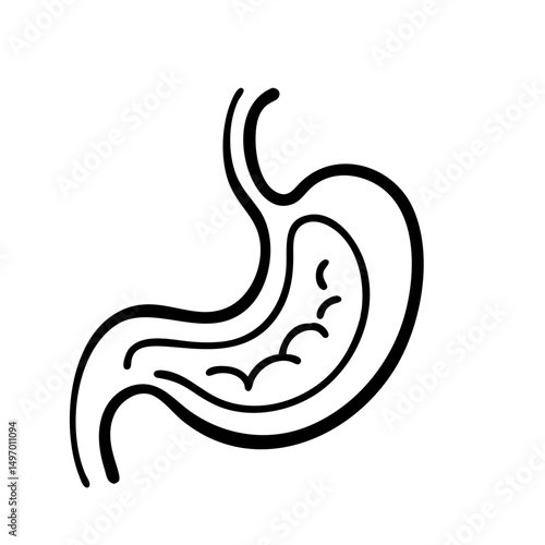 hand-drawn sketch human intestine illustration