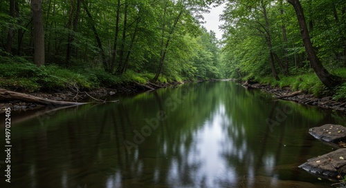 Serene Forest River with Smooth Flowing Water and Reflections