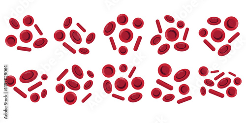 Red Blood Cells Illustration