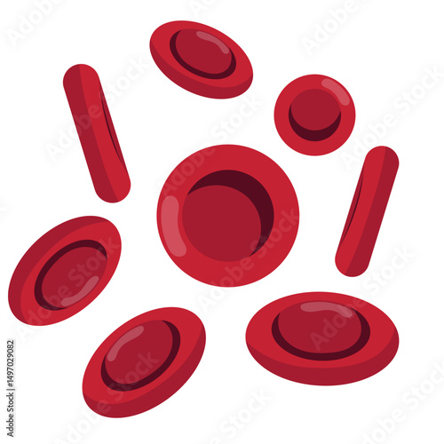 Red Blood Cells Illustration