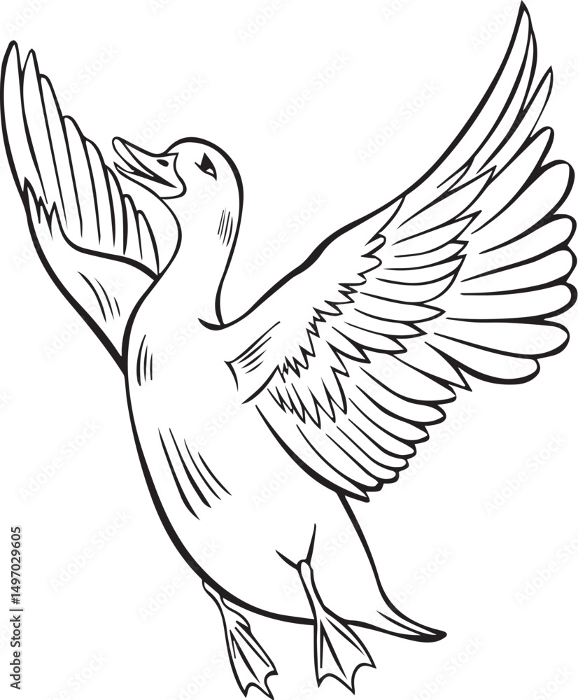 Obraz premium Duck line art work, vector illustration of a bird with open wings and feathers,